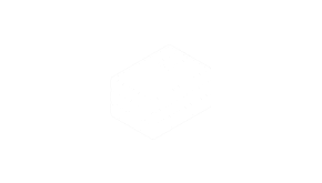 Prévisualiser l'image